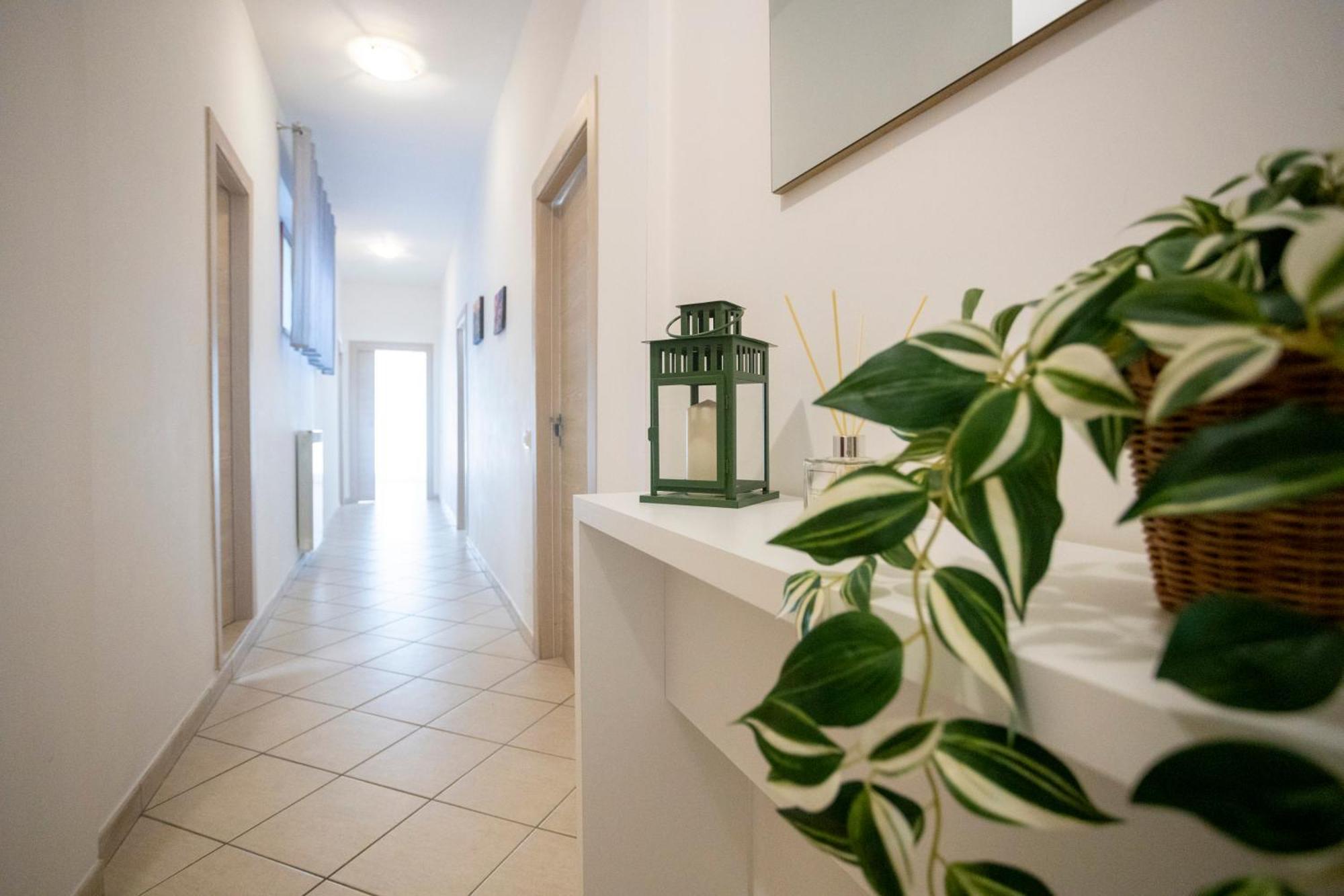 Apartament Casa Mia Półwysep Sorrentyński Zewnętrze zdjęcie